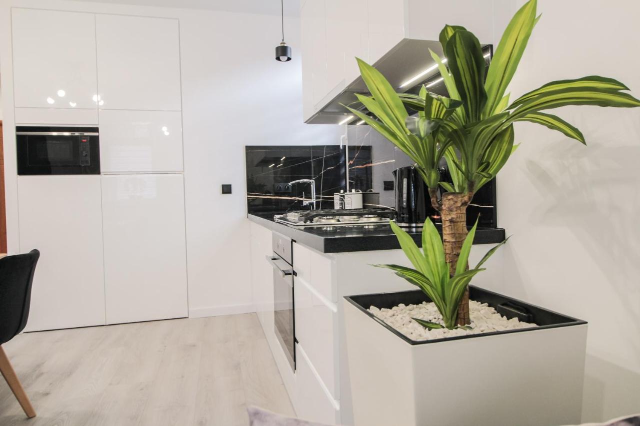 Apartament Zloty Jelen Криница-Здруй Екстериор снимка